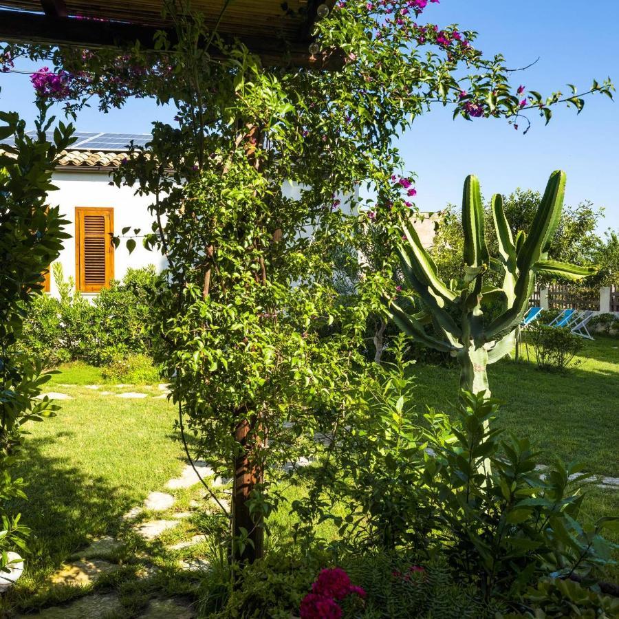 Stagnone Area Zero Bed & Breakfast Birgi Vecchi Ngoại thất bức ảnh